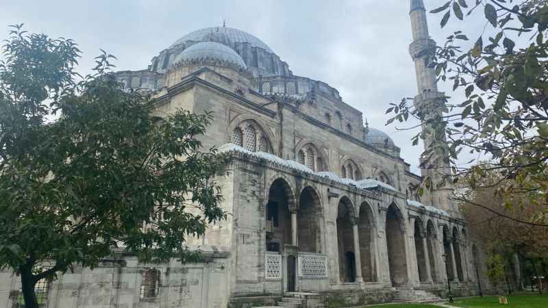Osmanlı Dönemi'nden gelen Hayvan Hakları Beyannamesi