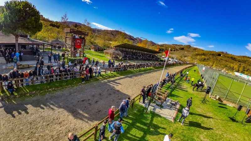 Ordu’da rahvan at yarışları büyük ilgiyle izlendi