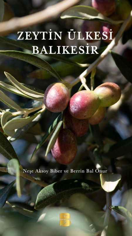 Zeytin ve ekmek kitapları Dünya Kitap Yarışması’nda