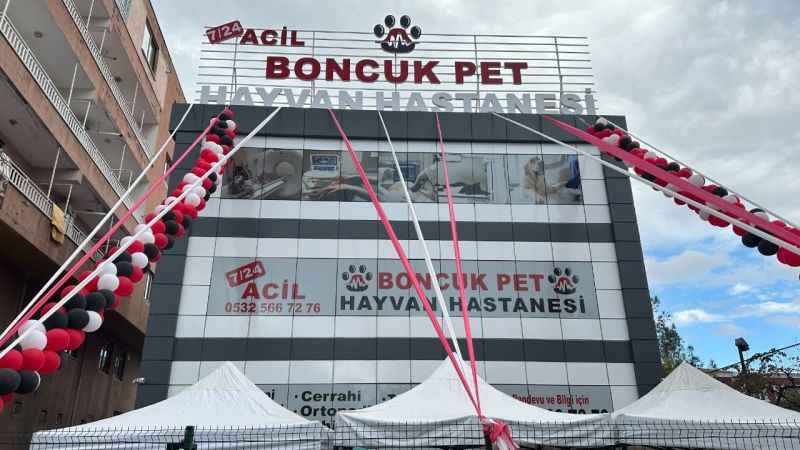 Diyarbakır'da evcil dostlara ilk özel hayvan hastanesi