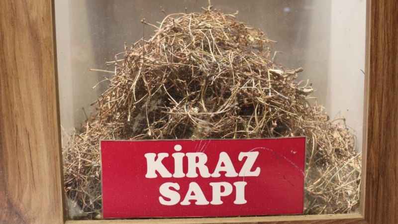 Herkes çöpe atıyor ama sağlığa çok faydası var