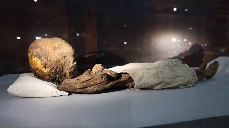Türkiye'nin tek mumya müzesinde 12. yüzyılın mumyaları sergileniyor 