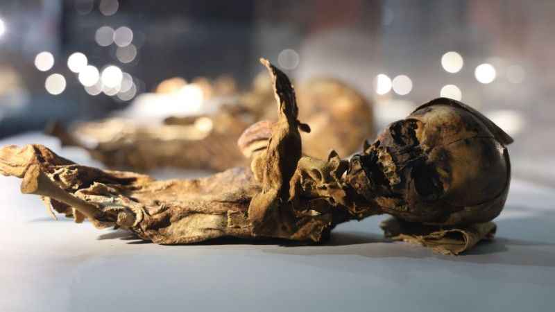 Türkiye'nin tek mumya müzesinde 12. yüzyılın mumyaları sergileniyor 