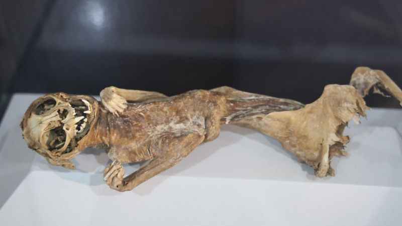 Türkiye'nin tek mumya müzesinde 12. yüzyılın mumyaları sergileniyor 