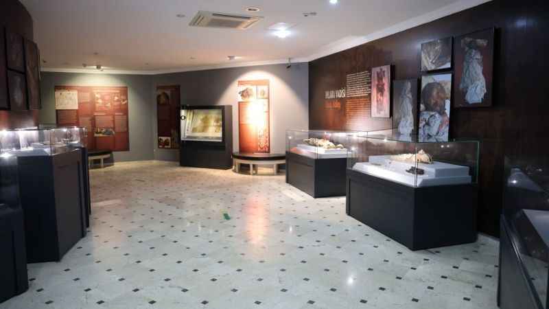 Türkiye'nin tek mumya müzesinde 12. yüzyılın mumyaları sergileniyor 