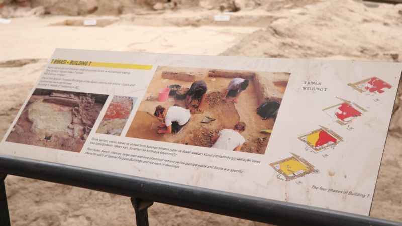 Dünyanın ilk beyin ameliyatı bu kafatasına yapıldı!