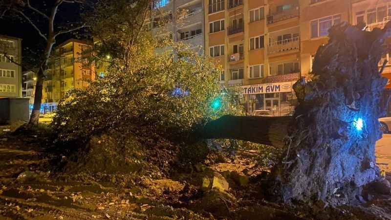 Bursa'da şiddetli lodos 200 yıllık tarihi 2 çınarı yıktı