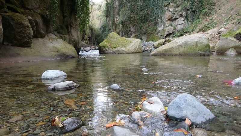 Çamaş Dere Kanyonu Guinness’e aday