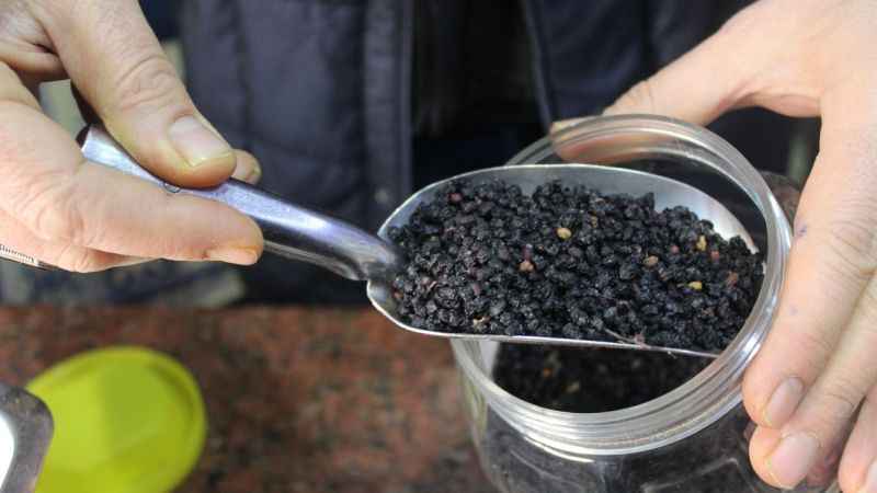 Kış aylarında kara mürver çayı tavsiyesi