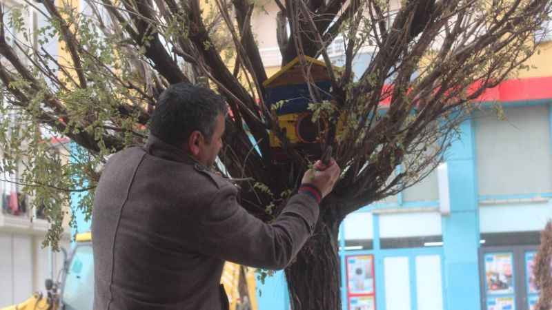 Öğrenciler 150 kuş evi yapıp ağaçlara astı