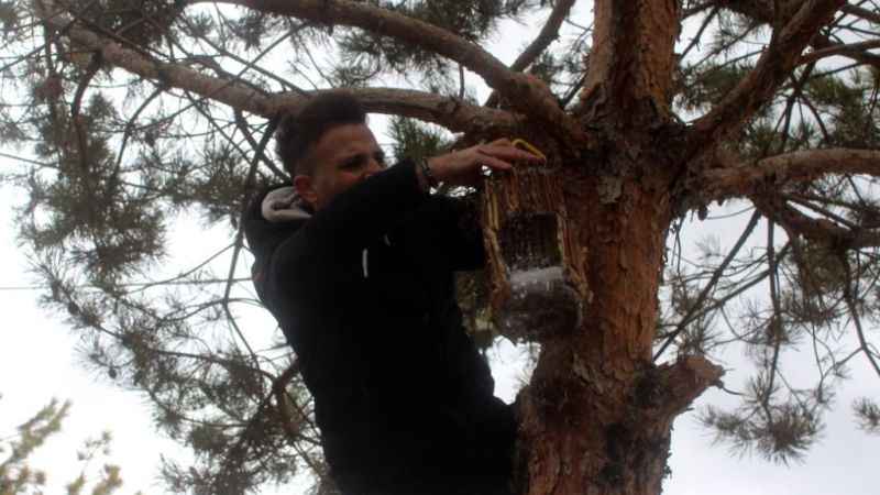 Öğrenciler 150 kuş evi yapıp ağaçlara astı