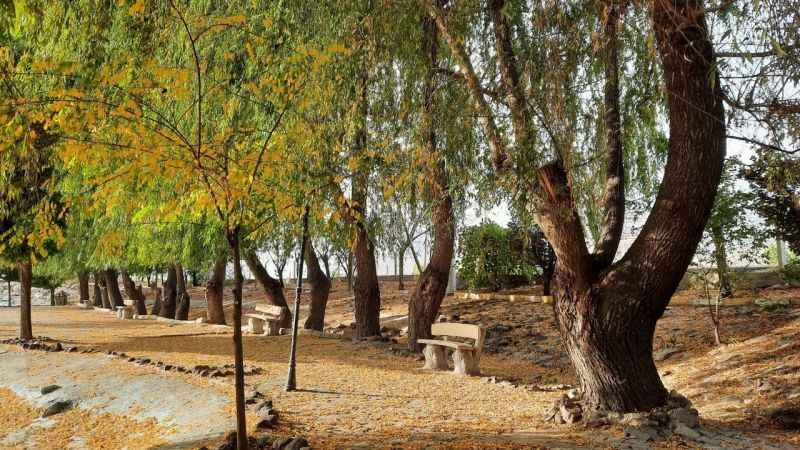 ‘Bor’da Sonbahar’ temalı yarışmanın fotoğrafları büyüledi