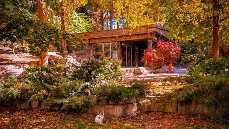 ‘Bor’da Sonbahar’ temalı yarışmanın fotoğrafları büyüledi