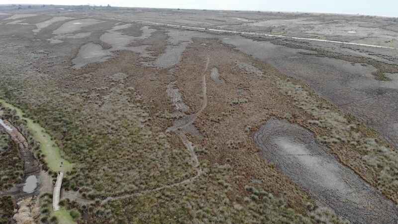 Sazlıklardan sanata: ‘Bafra zembili’