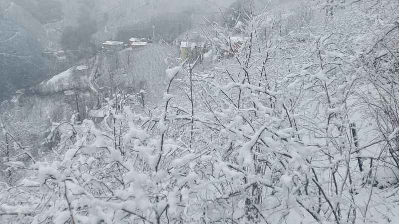Ordu’nun yüksek kesimlerinde kar yağışı etkili oldu