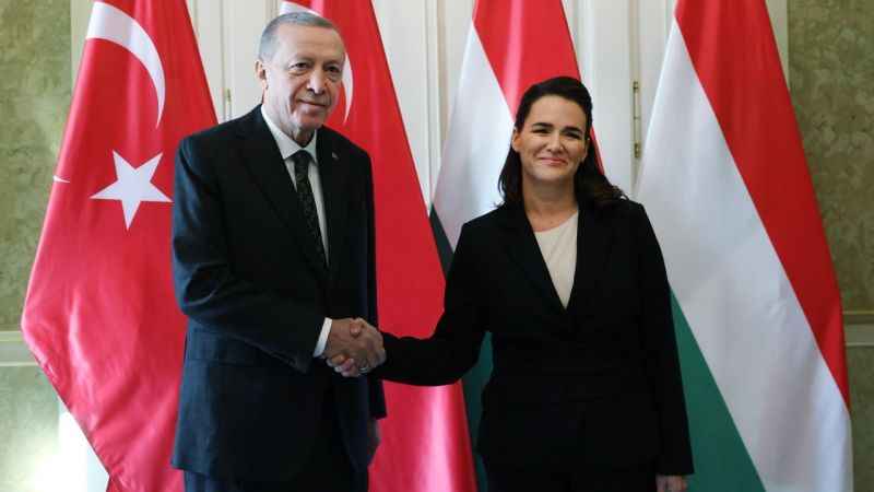 Cumhurbaşkanı Erdoğan, Macaristan Cumhurbaşkanı Novak ile görüştü