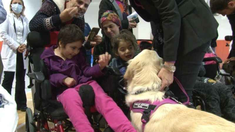 Özel eğitimli köpekler hastalara terapide yardımcı oluyor Özel eğitimli köpekler hastalara terapide yardımcı oluyor
