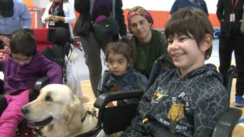 Özel eğitimli köpekler hastalara terapide yardımcı oluyor Özel eğitimli köpekler hastalara terapide yardımcı oluyor