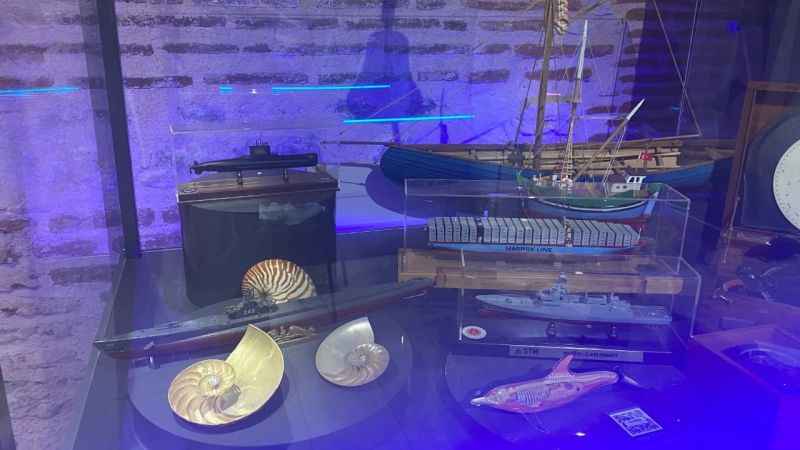 Bu müzede 'doğanın akıl sistematiği' sergileniyor