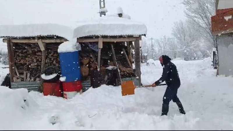 Kar yağışı Tunceli'de etkisini artırdı
