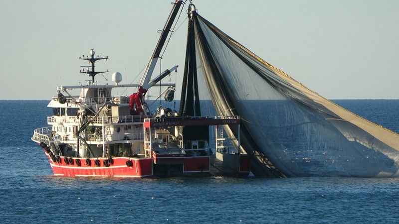 Trabzonlu balıkçılar yılbaşından sonra Gürcistan'da