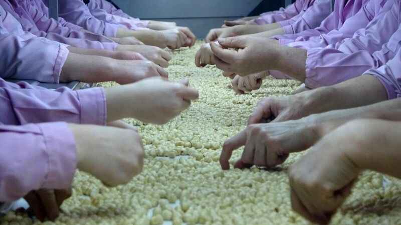 Düzce'den Avrupa'ya 9 milyon 730 bin ton iç fındık ihracatı