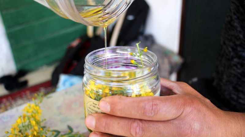 Kanser hastaları dikkat! Sarı kantaron kullanmayın