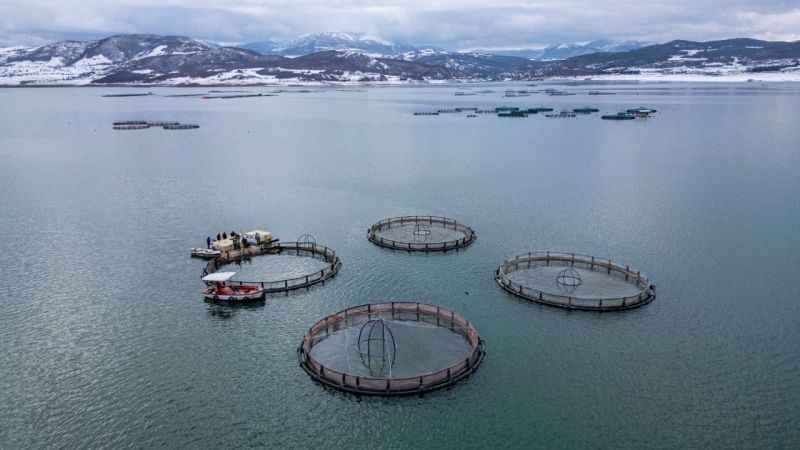 Tokat'tan somon ihracatı