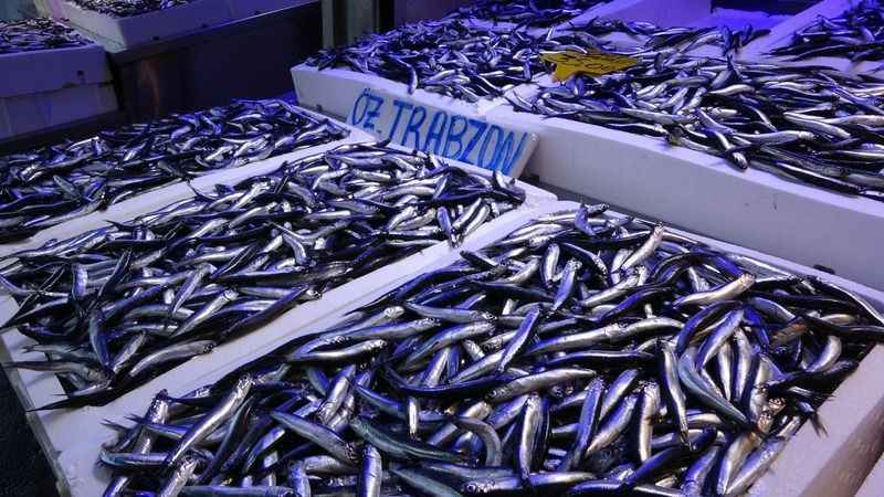 Hamsi bereketi ihracat rakamlarına yansıdı