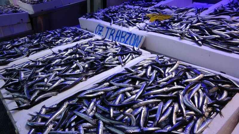 Hamsiye talep azaldı