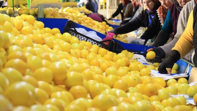 Limon ve detoks sularının zayıflamada etkisi olmuyor