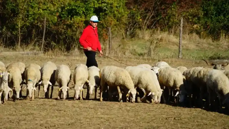 Şehir hayatını bırakıp köye yerleşti: Devlet desteği ile gelirini üç katına çıkardı