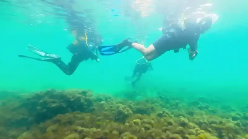 Karadeniz'in dibinden tarih çıktı