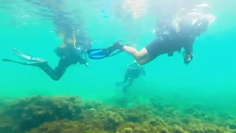 Karadeniz'in dibinden tarih çıktı