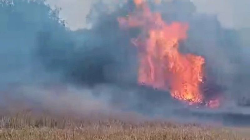 AKOM uyardı: “Orman yangını riski yüksek”