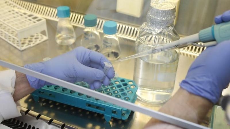 DSÖ’den M-çiçeğine karşı ilk aşıya onay