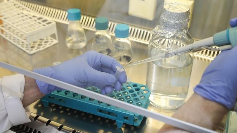 DSÖ’den M-çiçeğine karşı ilk aşıya onay