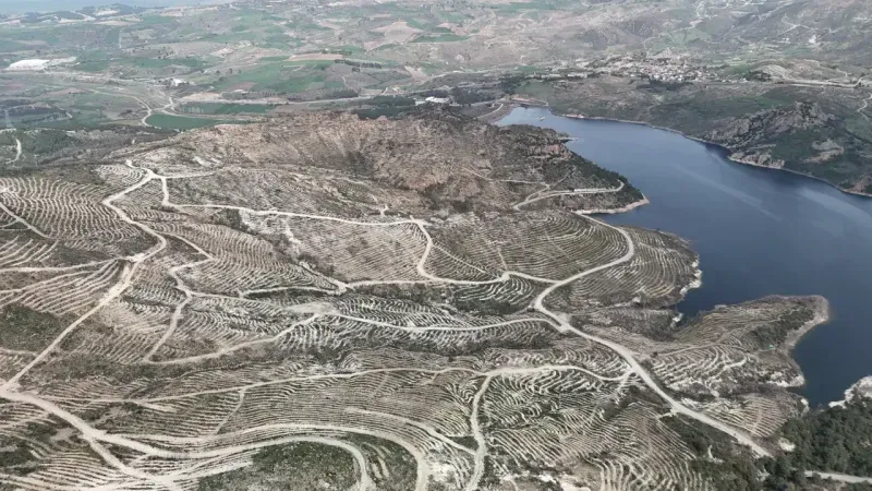 Çanakkale'de yanan ormanlar yangına dayanıklı fidanlarla yeniden yeşerdi