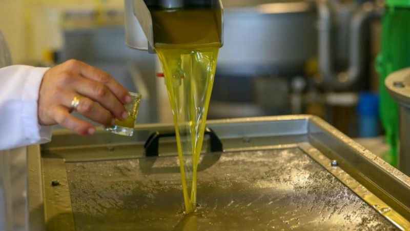 Ticaret Bakanlığı: “Zeytinyağının ihracatını kısıtlama kararımız iç piyasadaki fiyatları geriye çekecektir”