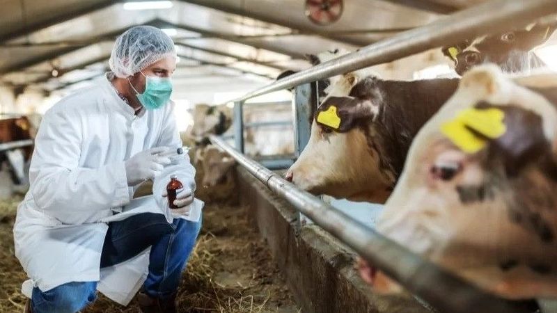 Şap Virüsünü İnaktif Etmek Mümkün mü?