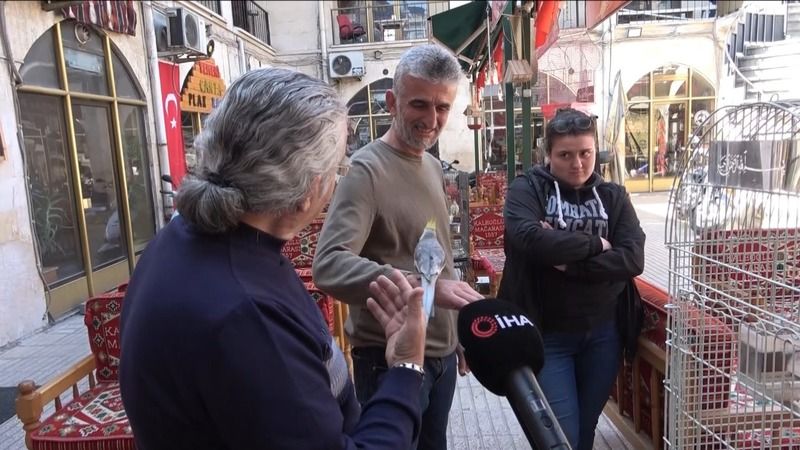 Depremler sonrası ötücü kuşlar revaçta