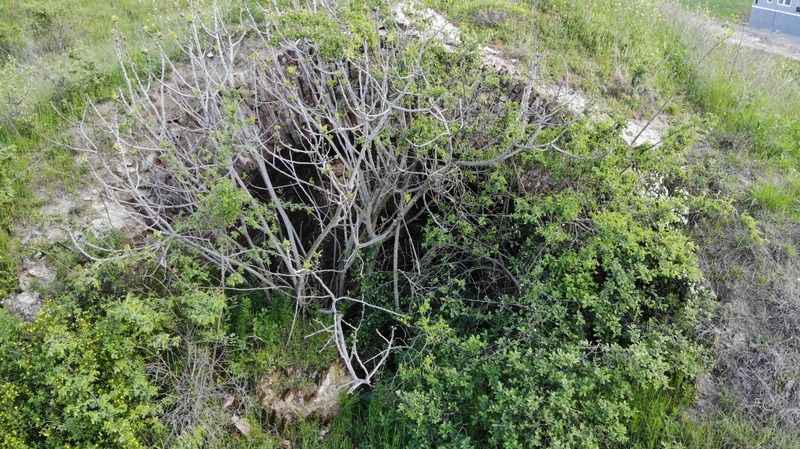 Tarihi tabyalar kaderine terkedildi