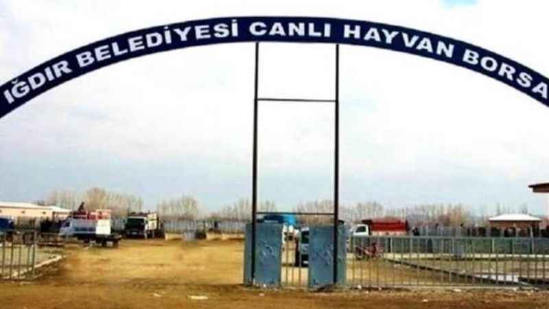 Iğdır hayvan pazarı tekrar açılıyor