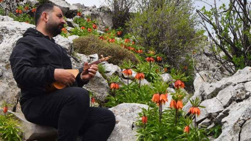 244 bin liranız yoksa kopartmayın!