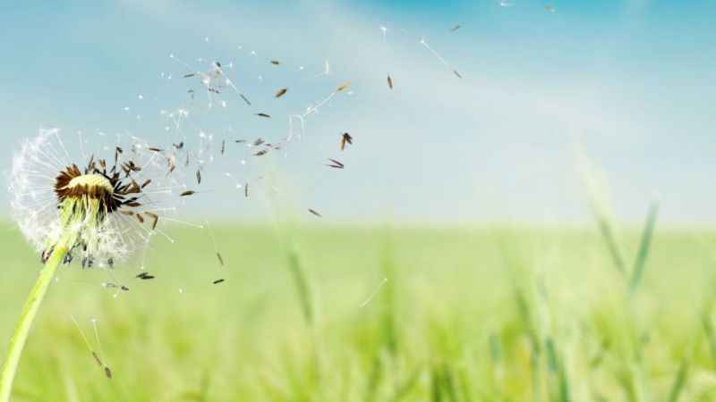 Bahar ayları göz alerjisi ile beraber geldi