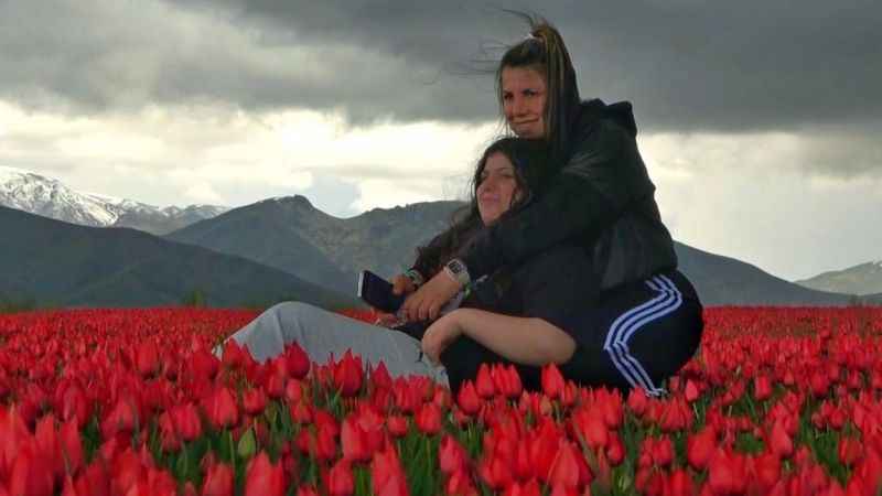 Muş’ta 15 günlük lale devri başladı