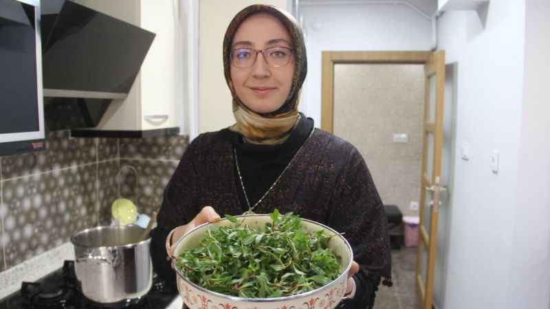 Yol kenarında yetişiyor, kanseri önlüyor