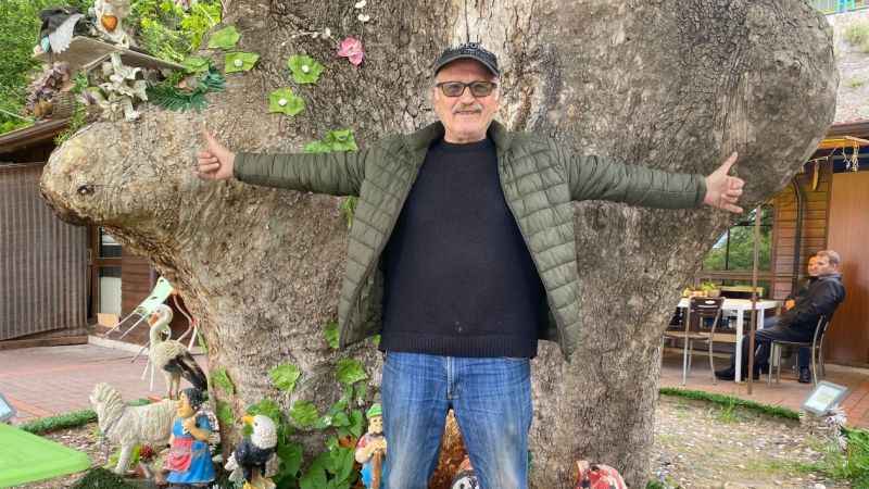 Bu çınar ağacı tam bin yıllık!