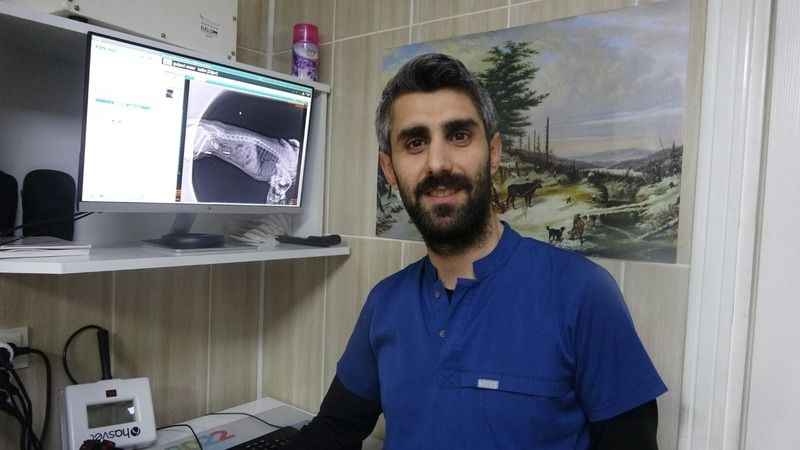 Evcil hayvanınızda bu şikayetlere dikkat!