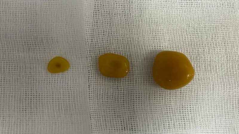 Evcil hayvanınızda bu şikayetlere dikkat!